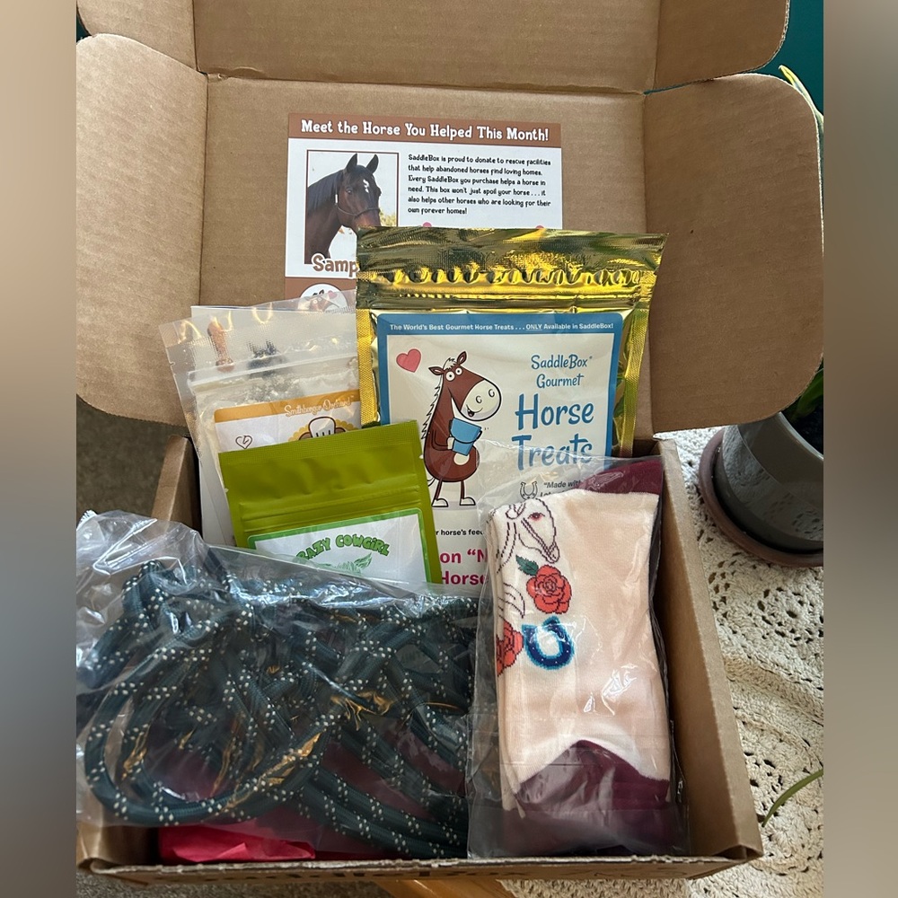 Saddle box horse tack